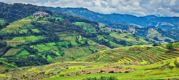 腊姑梯田。第一影视
供图